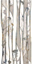 Керамогранит MAJESTIC PURE GROVE LEV/RET 60x119,5