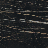Керамогранит PREXIOUS REX THUNDER NIGHT MAT 10MM 60X60 R