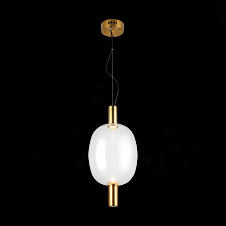 Светильник подвесной ST-Luce ALLENORE SL1582.313.01