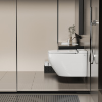 Унитаз ABBER Bequem AC1126P подвесной белый с импульсным смывом