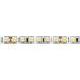 Светодиодная лента  ST Luce ST016 9,6 W 3000k ST016.310.65