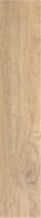 UPPSALA NATURAL MT 23X120