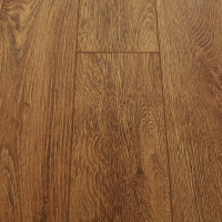 Дуб Торонто