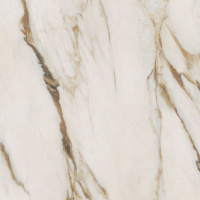 Керамогранит SNS.SIGN.CAL.VENA ORO LUX RET 120X120