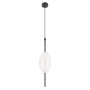 Подвесной светильник LOFT IT Venice 10223/E White