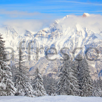 Фрески, Каталог Фотоискусство, арт. ID13534