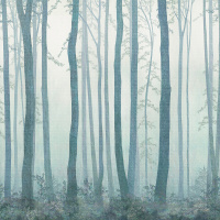 Фрески, Каталог Ботаника, арт. ID135986