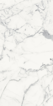Керамогранит LES ORIGINES DE REX BLANC GLOSSY 60X120