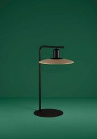 Настольная лампа Eglo MAYAZES 39913