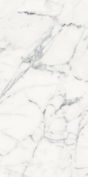 Керамогранит LES ORIGINES DE REX BLANC GLOSSY 60X120