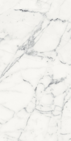 Керамогранит LES ORIGINES DE REX BLANC GLOSSY 60X120