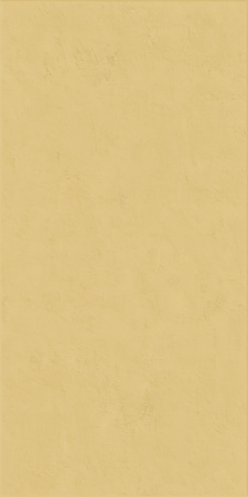 Керамическая плитка WIDE&STYLE MINI GINGER RET 60х120