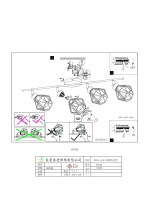 Спот ZAPATA 95548