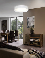 Потолочный светильник PASTERI EG_31588