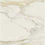 Керамогранит I CLASSICI CAL.GOLD 6MM GLOSSY  120X120