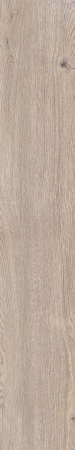 Керамогранит 4 SEASONS  INDUS.BISC.   NAT R20X120