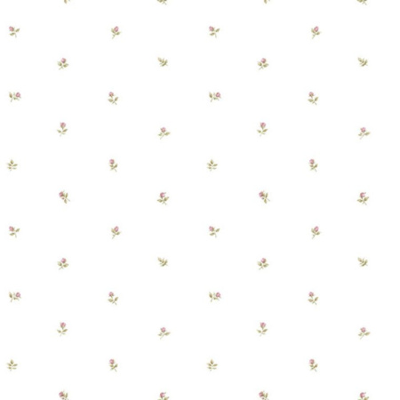 Обои AURA Rose Garden (CG28872)