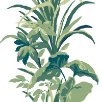 Обои York Madcap Cottage MC0415