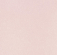 Обои Bernardo Bartalucci Legend (5068-54)