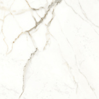Керамогранит RHAPSODY EMOTION NAT RET 60X60