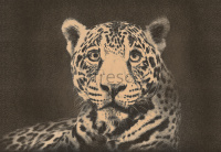 Фрески, Каталог Сюжеты, арт. ID136553