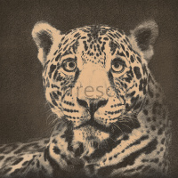 Фрески, Каталог Сюжеты, арт. ID136553