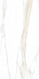 Керамогранит I CLASSICI CAL.GOLD 6MM MATTE 120X240 RE