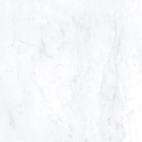 Керамическая плитка BIANCO BERNINI LAPP RETT	120X120