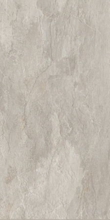 Керамогранит ARDOISE GRIS 40x80 RET