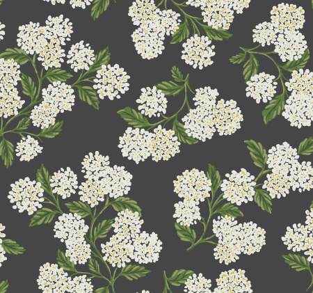 Обои York Rifle Paper Co RI5146