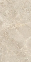 SUVEYA BRECCIA 60X120