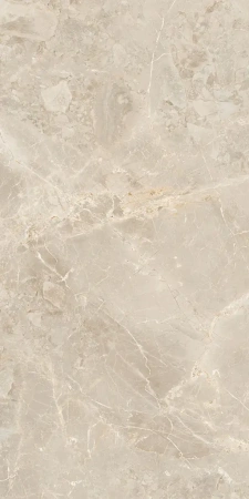 SUVEYA BRECCIA 60X120