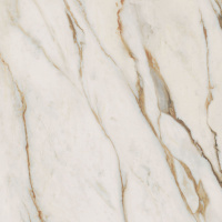Керамогранит SNS.SIGN.CAL.VENA ORO LUX RET 120X120