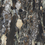Керамогранит BIJOUX QUATRE SAISONS MAT 6MM R	120X120
