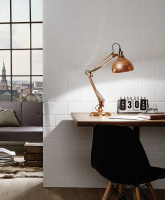 Настольная лампа BORGILLIO EG_94704