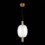 Светильник подвесной ST-Luce ALLENORE SL1582.313.01