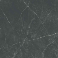 Керамогранит SPR.MEMOR. DARK STONE NAT R120X120