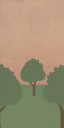 Керамическая плитка W&S D+ COUNTRY C  160X320