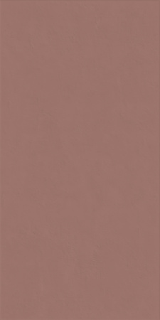 Керамическая плитка WIDE&STYLE MINI PAPRIKA RET 60х120