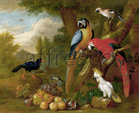 Фрески, Каталог Сюжеты, арт. ID136506