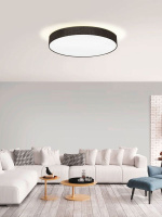 Потолочный светильник PASTERI 97618