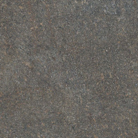 Керамогранит NATIVE FOREST RET	80X80