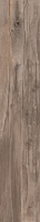 Плитка напольная DOLPHIN OAK RETT. 20X170