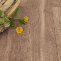 Орех Вирджиния