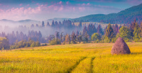 Фрески, Каталог Фотоискусство, арт. ID13452