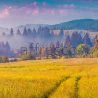 Фрески, Каталог Фотоискусство, арт. ID13452