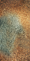 Керамический гранит ART WALLS FROST LUX R60X120