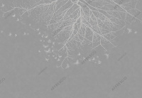 Фрески, Каталог Ботаника, арт. ID139248