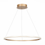 Подвесной светильник ST Luce ST604 OUT ST604.243.34