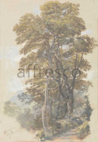 Картина: Эдвард Лир,  Corpo di Cava